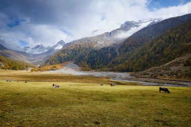 Val di Fosse