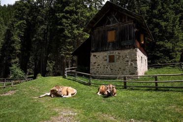 Escursione in Val di Funes Gruppo delle Odle malga Geisler e malga Casnago
