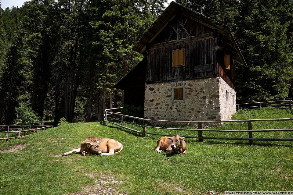 Escursione in Val di Funes Gruppo delle Odle malga Geisler e malga Casnago