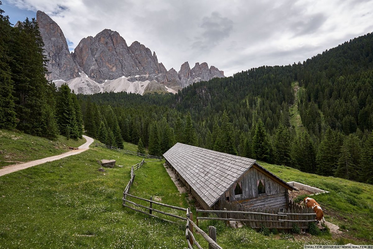  Escursione in Val di Funes Gruppo delle Odle malga Geisler e malga Casnago