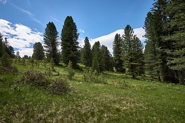 Escursione in Val di Funes Gruppo delle Odle malga Geisler e malga Casnago