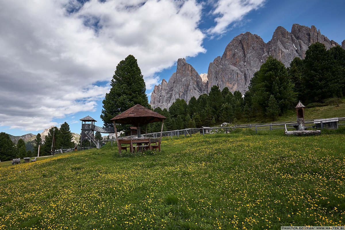  Escursione in Val di Funes Gruppo delle Odle malga Geisler e malga Casnago