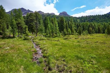Val Martello sino ai piedi del Cevedale