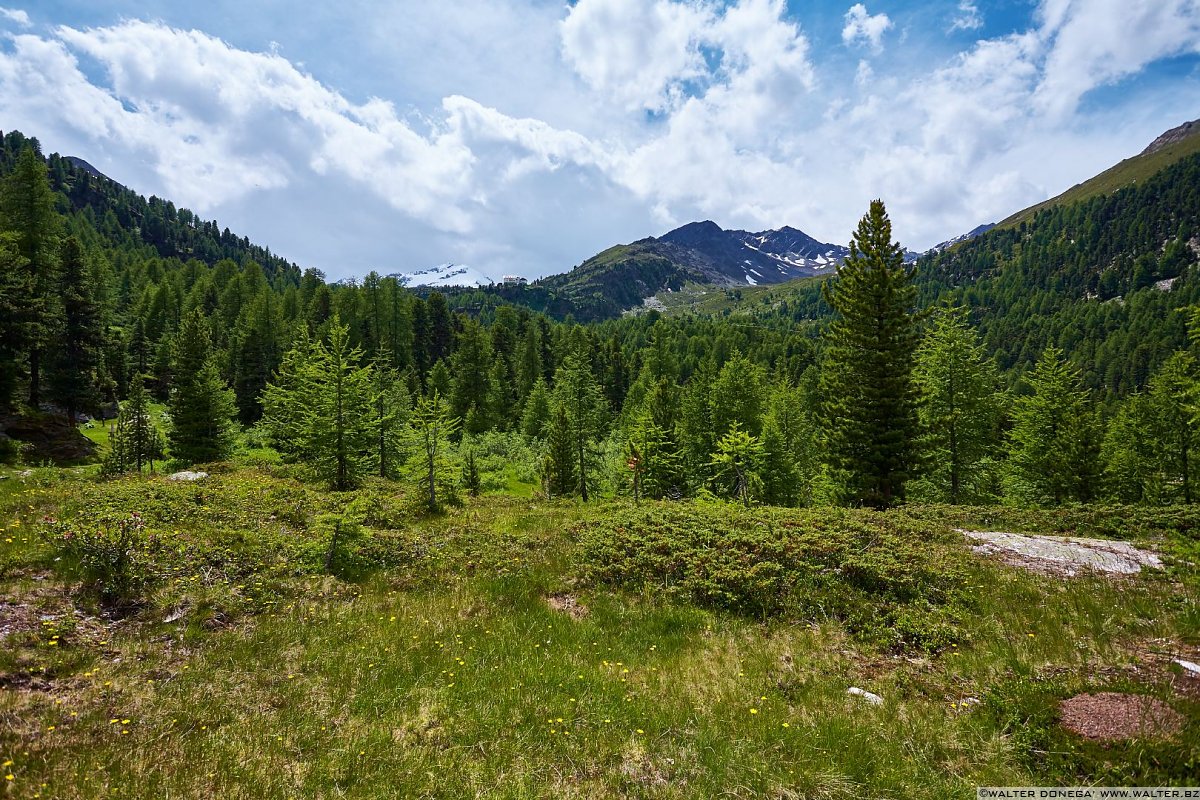 Sullo sfondo il rifugio Nino Corsi Val Martello sino ai piedi del Cevedale