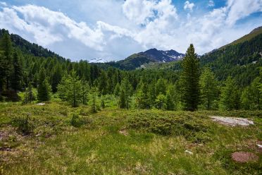 Val Martello sino ai piedi del Cevedale