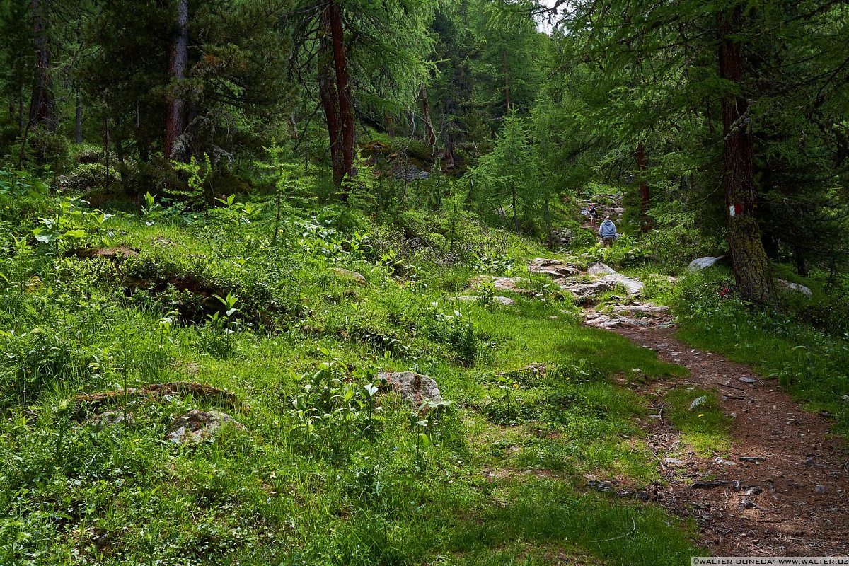  Val Martello sino ai piedi del Cevedale