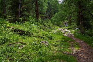 Val Martello sino ai piedi del Cevedale