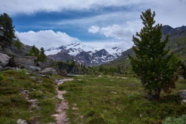 Val Martello sino ai piedi del Cevedale