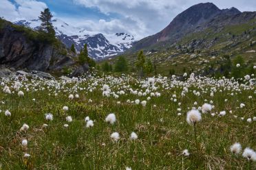 Val Martello sino ai piedi del Cevedale