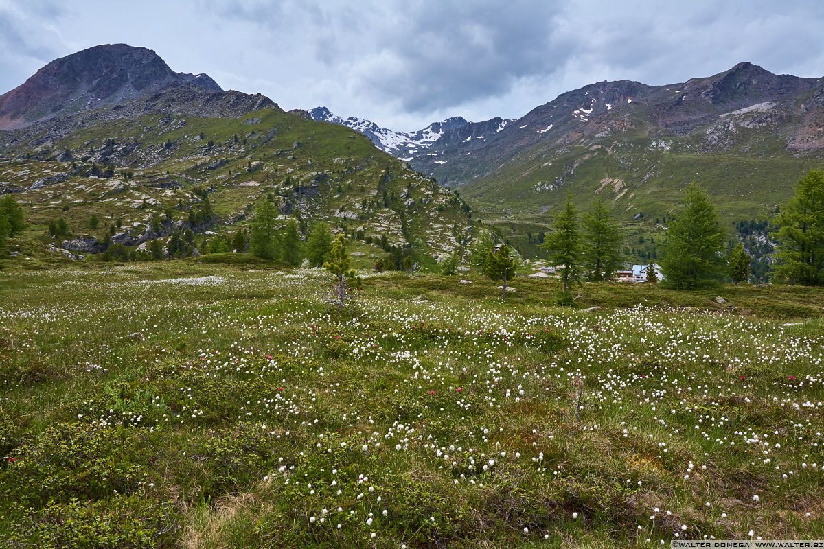  Val Martello sino ai piedi del Cevedale