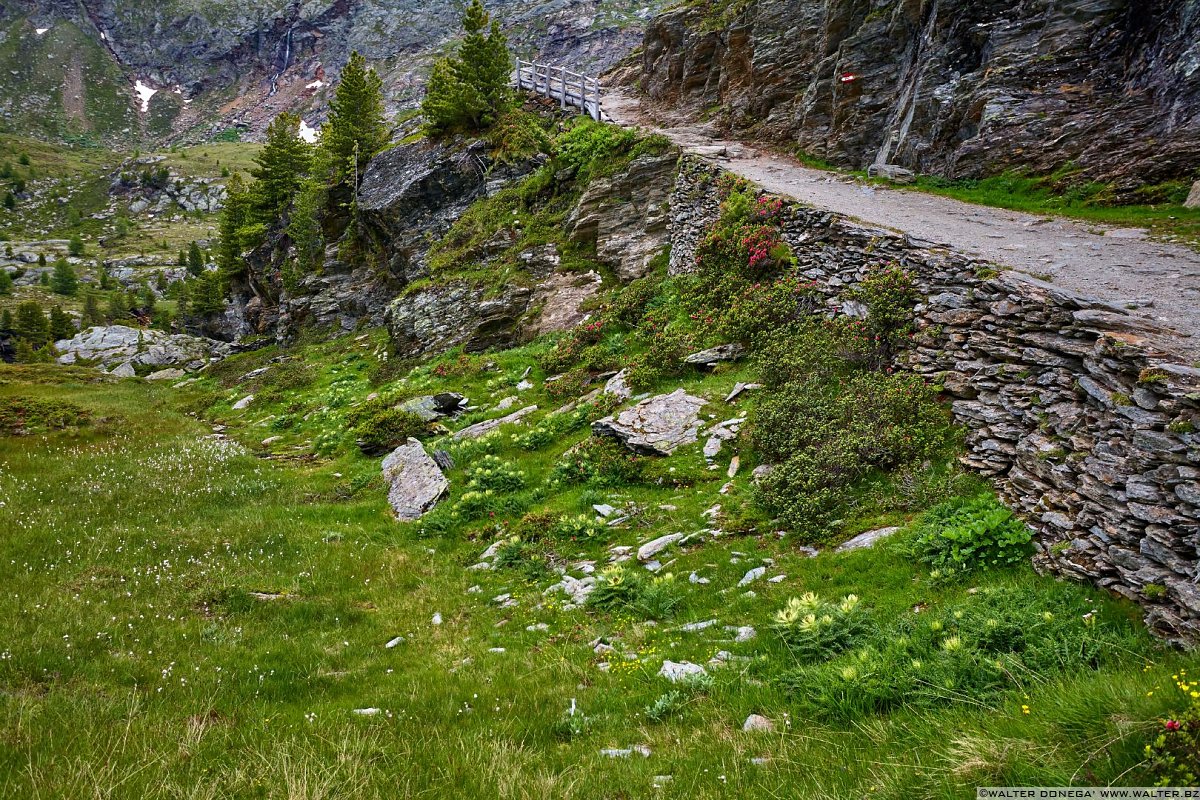  Val Martello sino ai piedi del Cevedale