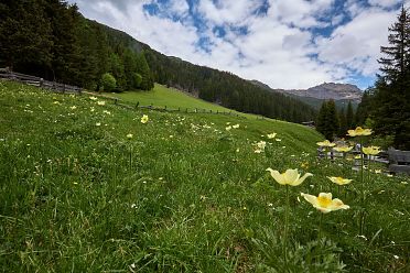 Lago di Valdurna