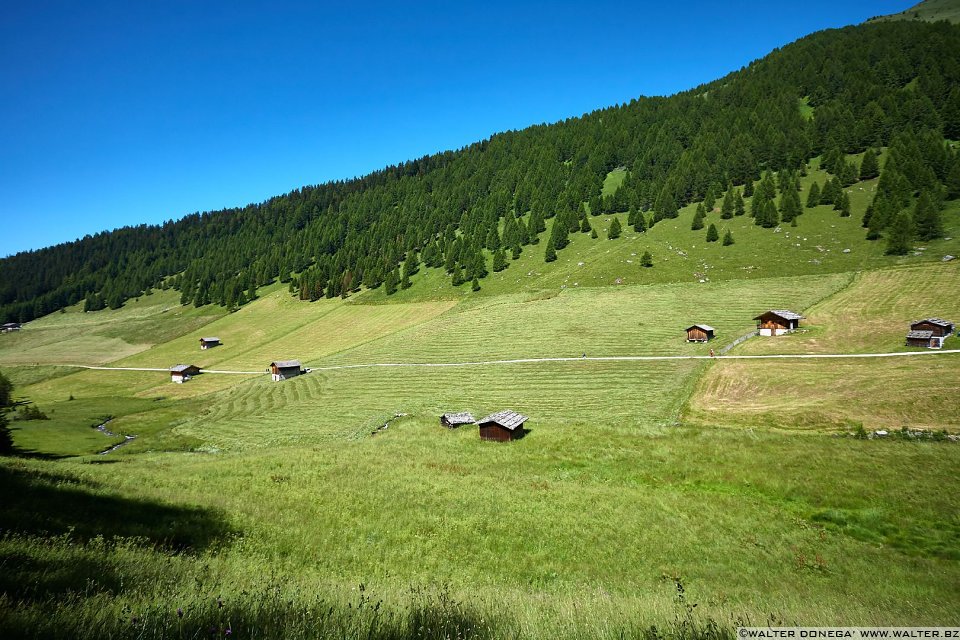 Escursione in valle d'Altafossa