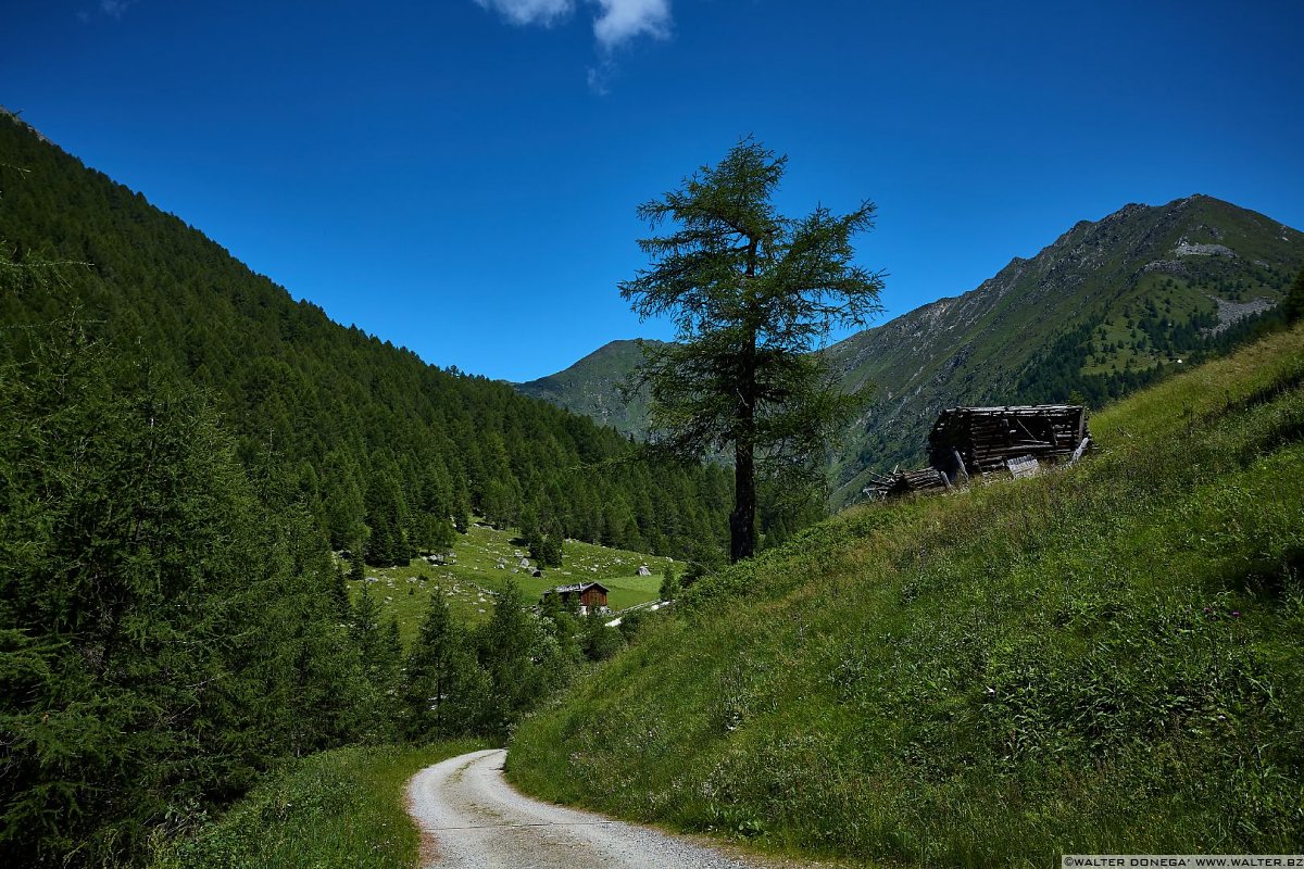  Escursione in valle d'Altafossa