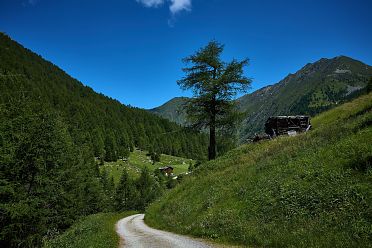 Escursione in valle d'Altafossa