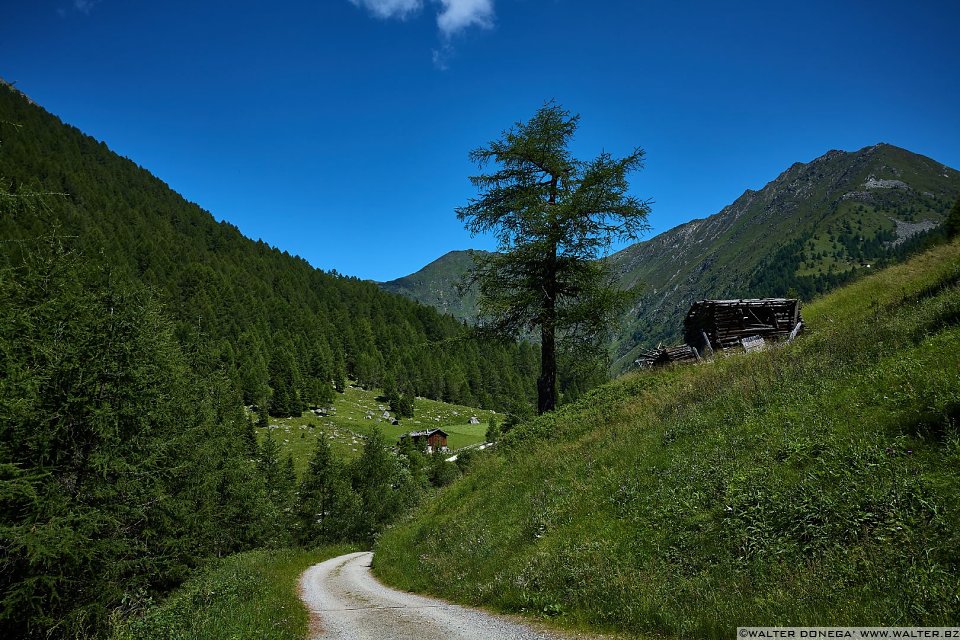 Escursione in valle d'Altafossa