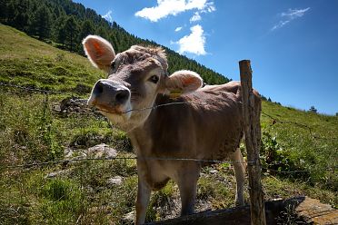 Escursione in valle d'Altafossa