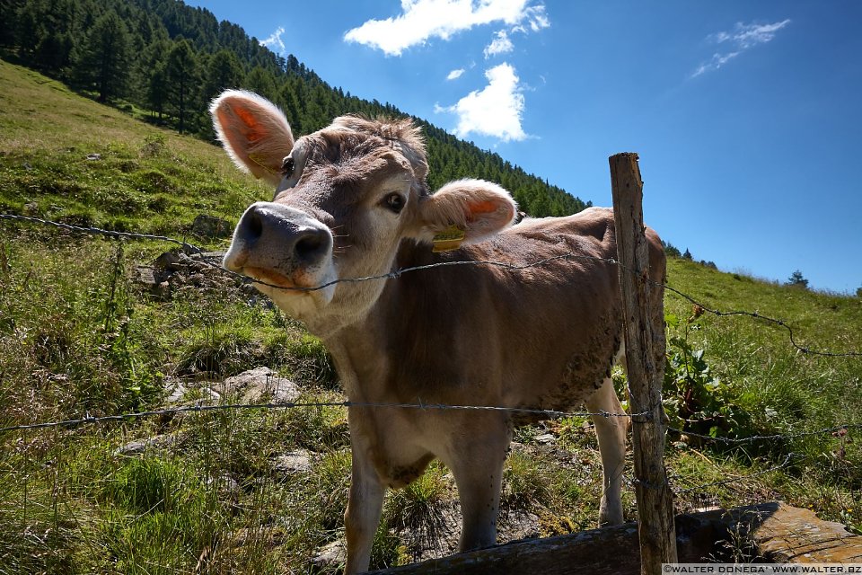 Escursione in valle d'Altafossa