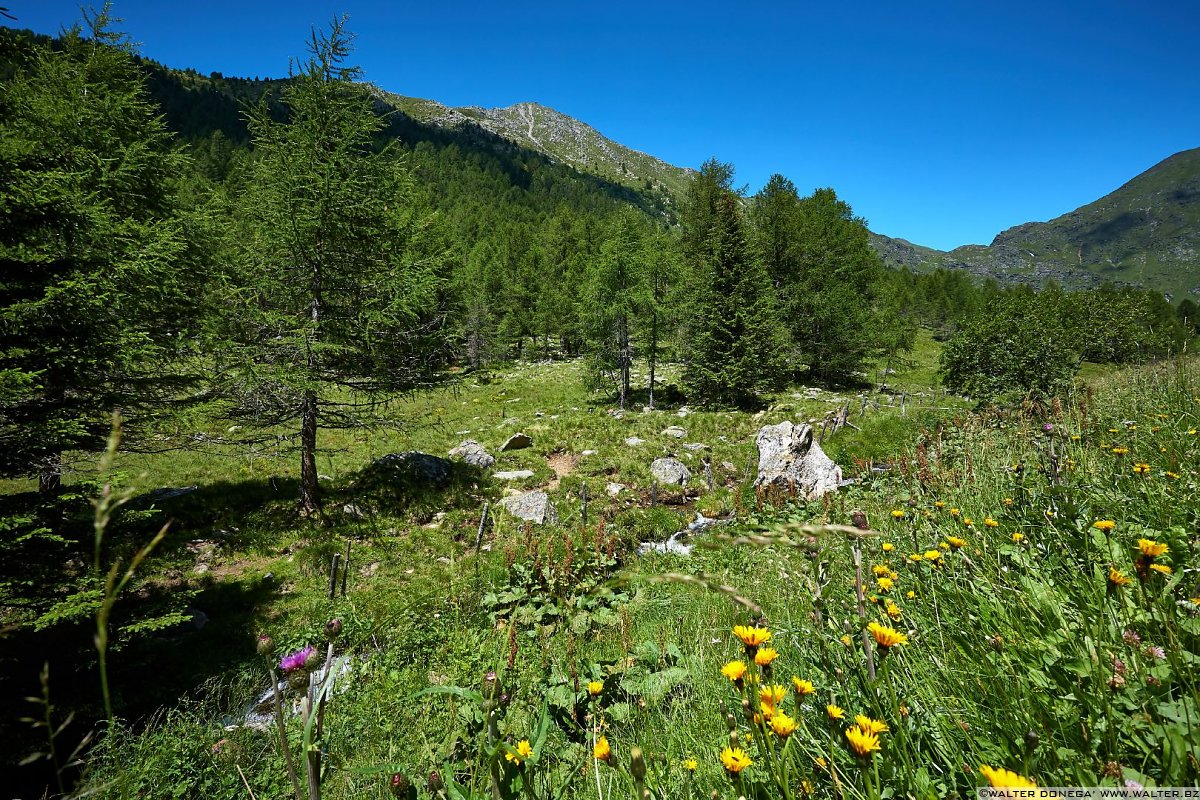  Escursione in valle d'Altafossa