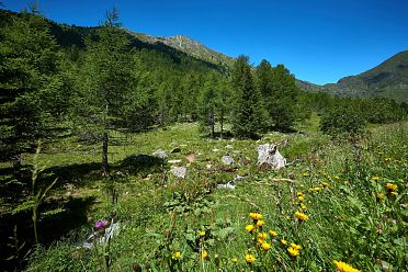 Escursione in valle d'Altafossa