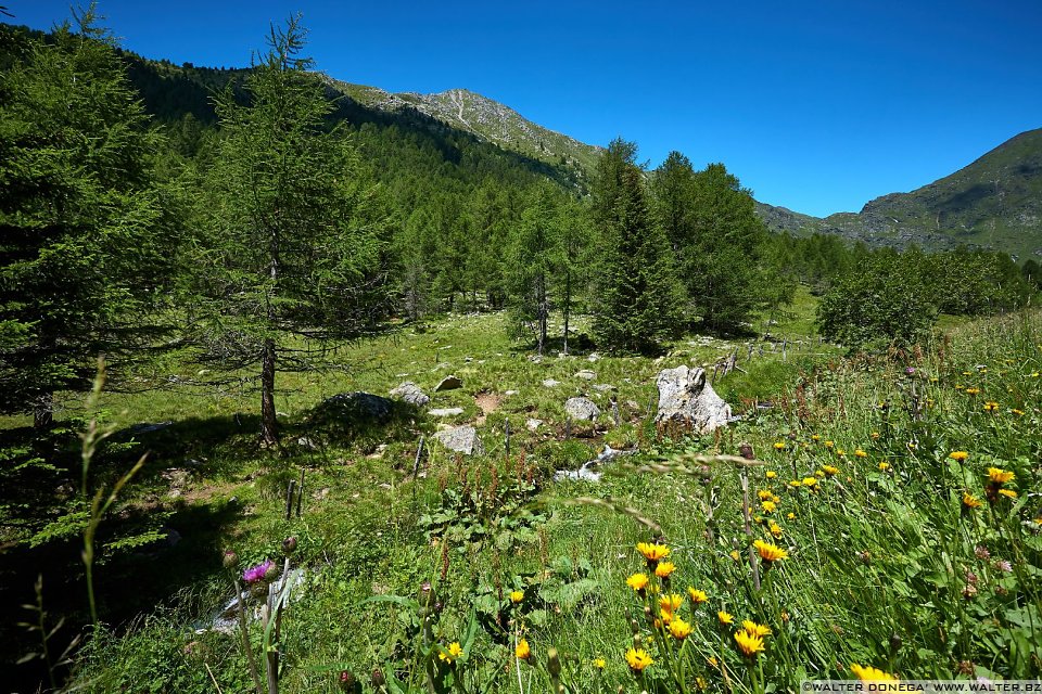 Escursione in valle d'Altafossa