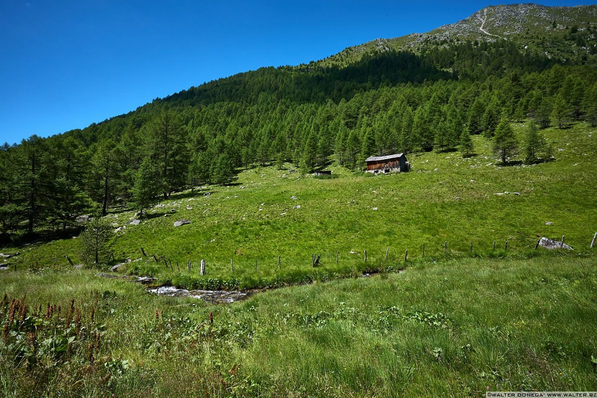  Escursione in valle d'Altafossa