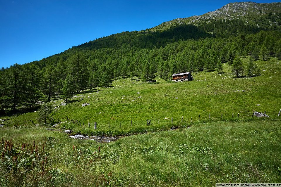 Escursione in valle d'Altafossa