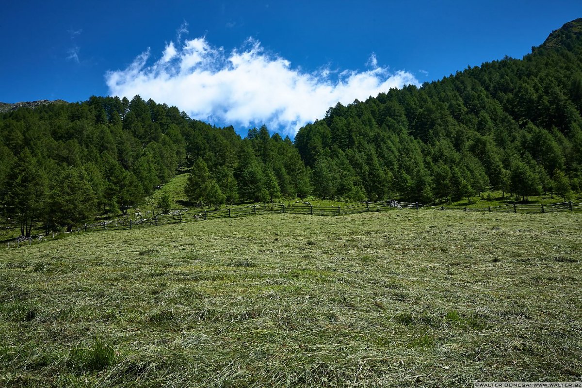  Escursione in valle d'Altafossa