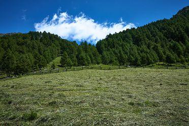 Escursione in valle d'Altafossa