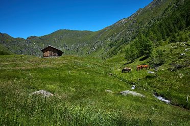 Escursione in valle d'Altafossa