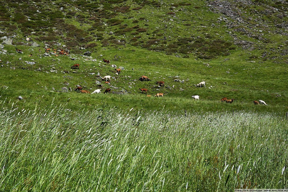  Escursione in valle d'Altafossa