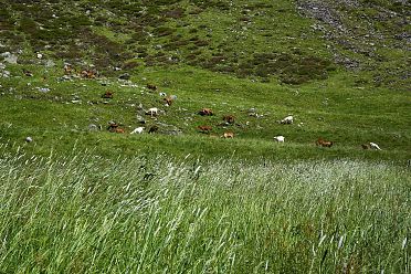Escursione in valle d'Altafossa
