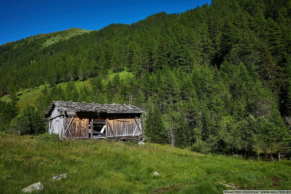 Escursione in valle d'Altafossa