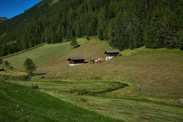 Escursione in valle d'Altafossa