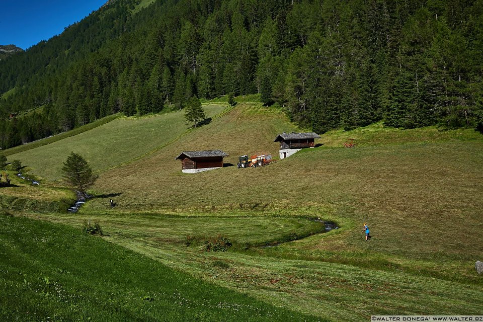 Escursione in valle d'Altafossa