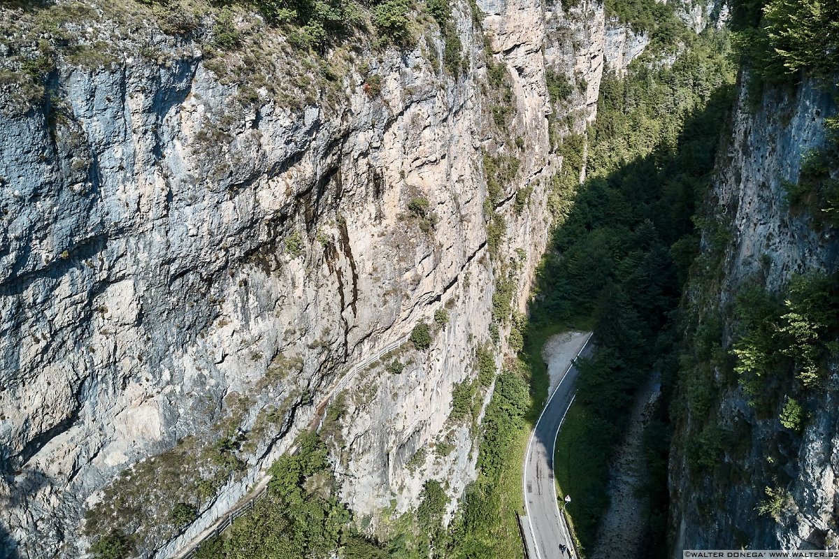  50 sfumature di verde in alta valle di Non - foto e video