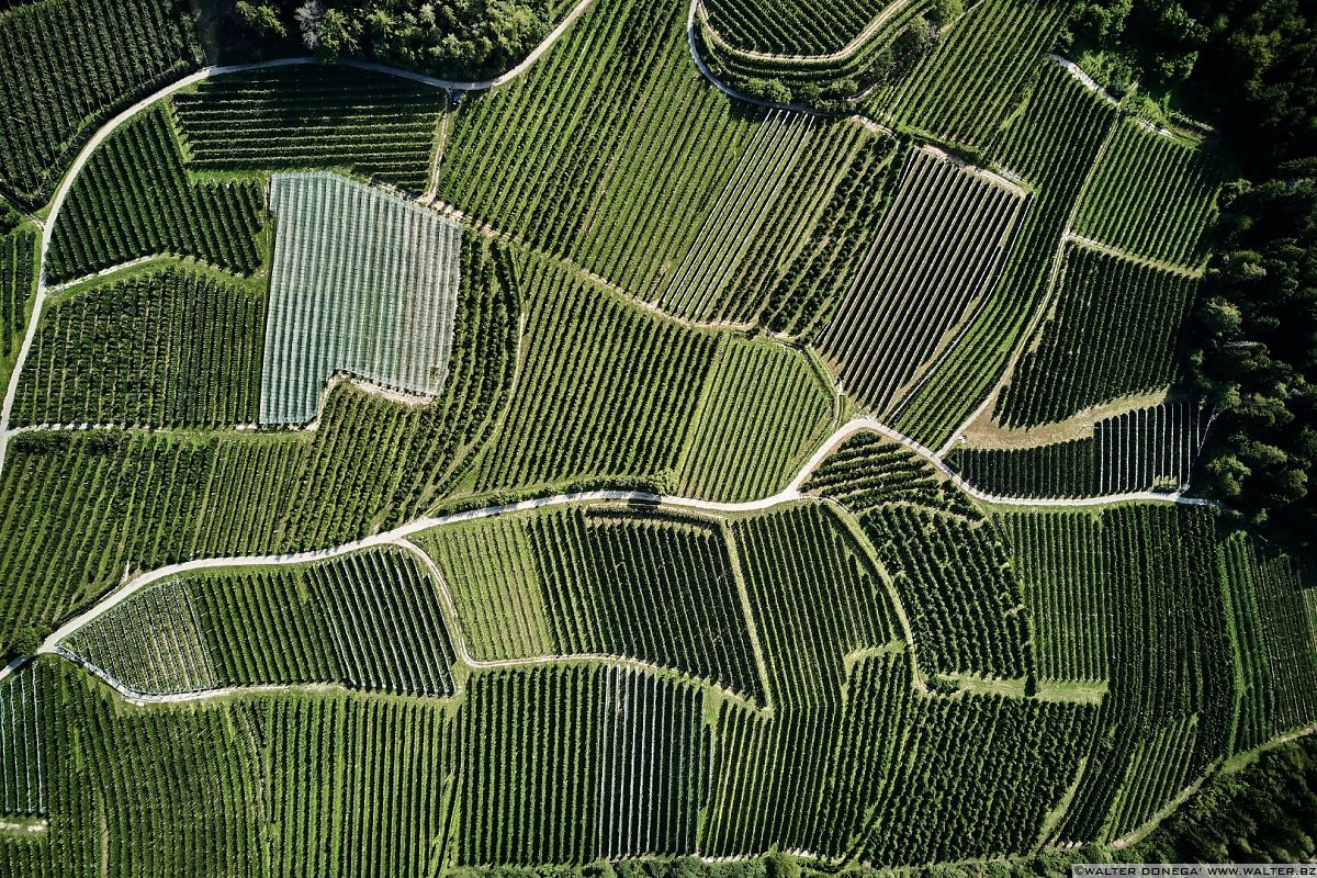  50 sfumature di verde in alta valle di Non - foto e video