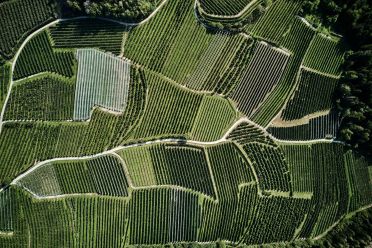 50 sfumature di verde in alta valle di Non - foto e video