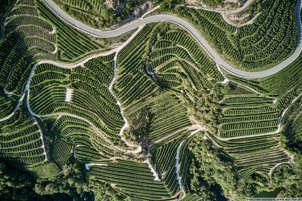  50 sfumature di verde in alta valle di Non - foto e video