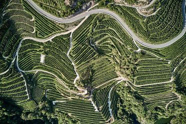 50 sfumature di verde in alta valle di Non - foto e video