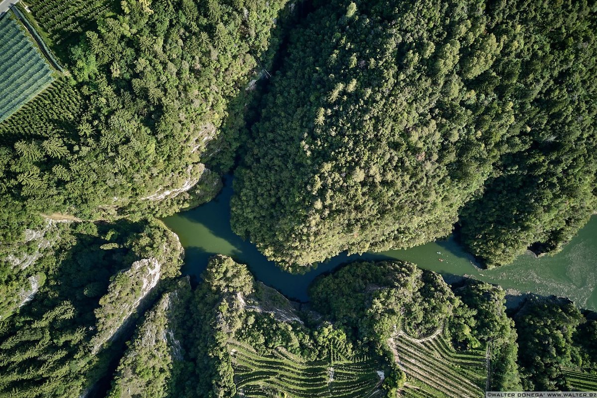  50 sfumature di verde in alta valle di Non - foto e video