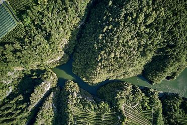 50 sfumature di verde in alta valle di Non - foto e video