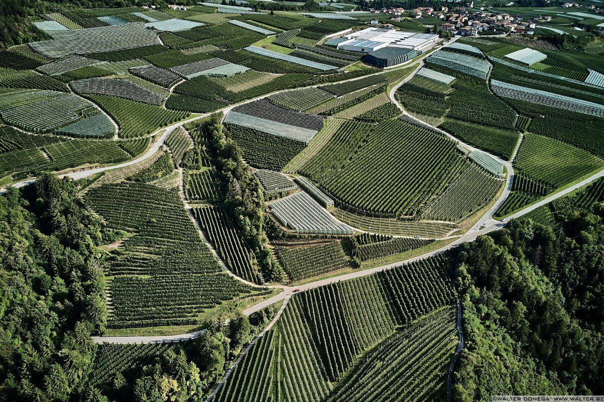  50 sfumature di verde in alta valle di Non - foto e video