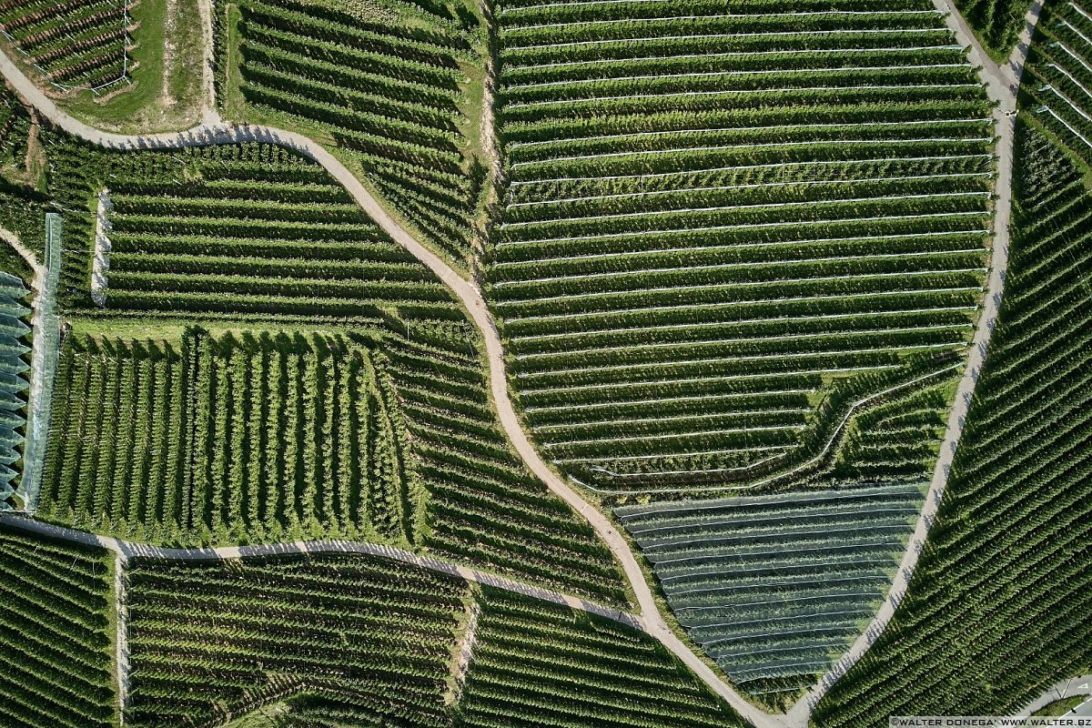  50 sfumature di verde in alta valle di Non - foto e video