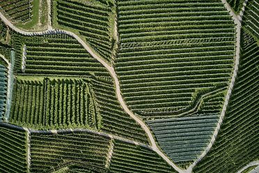 50 sfumature di verde in alta valle di Non - foto e video