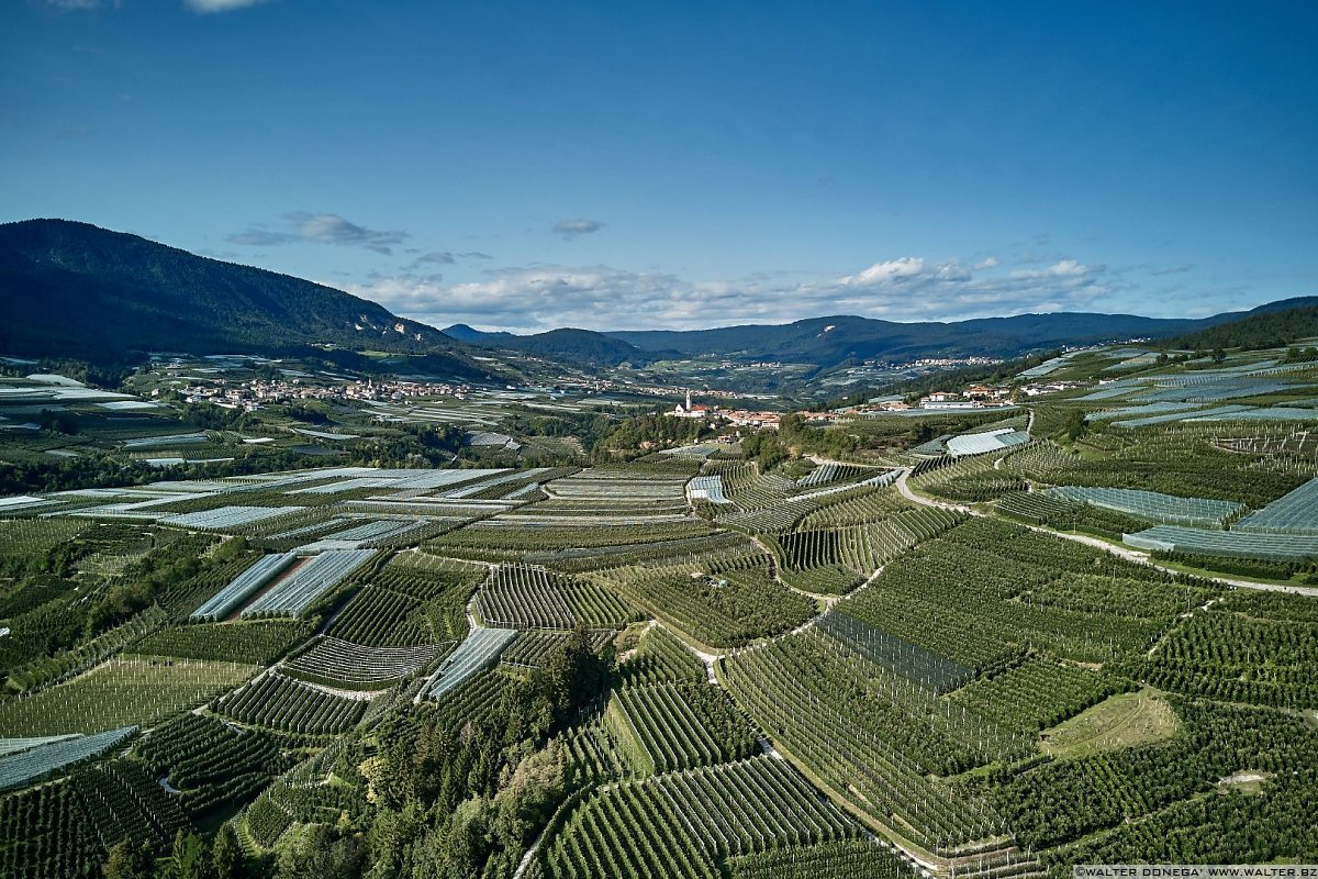  50 sfumature di verde in alta valle di Non - foto e video