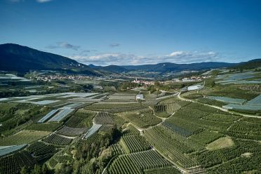 50 sfumature di verde in alta valle di Non - foto e video