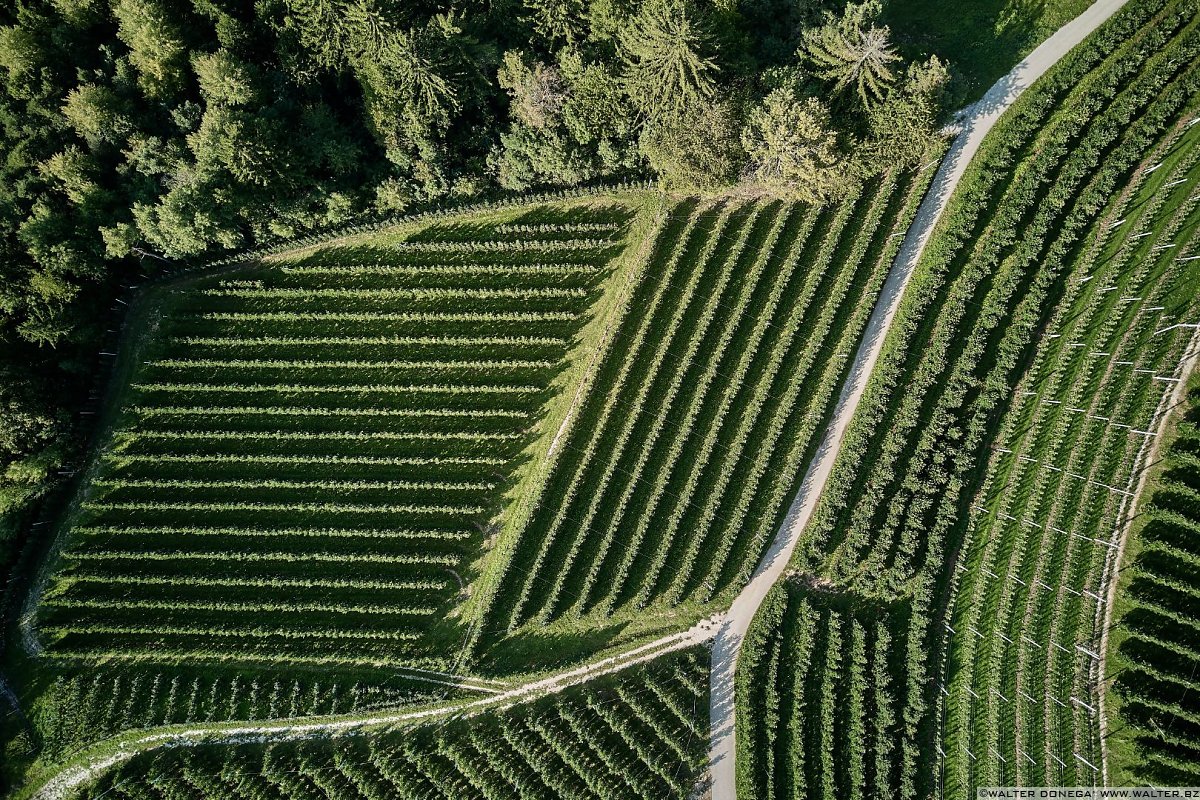  50 sfumature di verde in alta valle di Non - foto e video