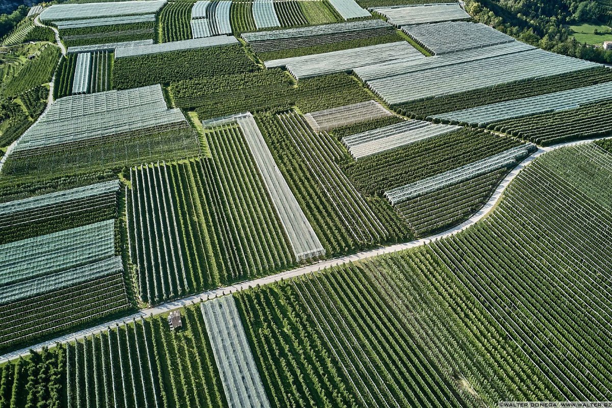  50 sfumature di verde in alta valle di Non - foto e video