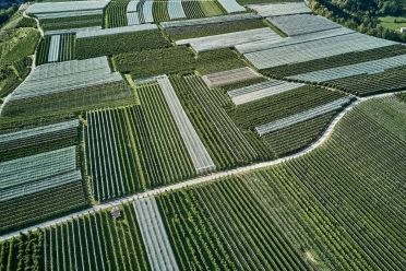 50 sfumature di verde in alta valle di Non - foto e video